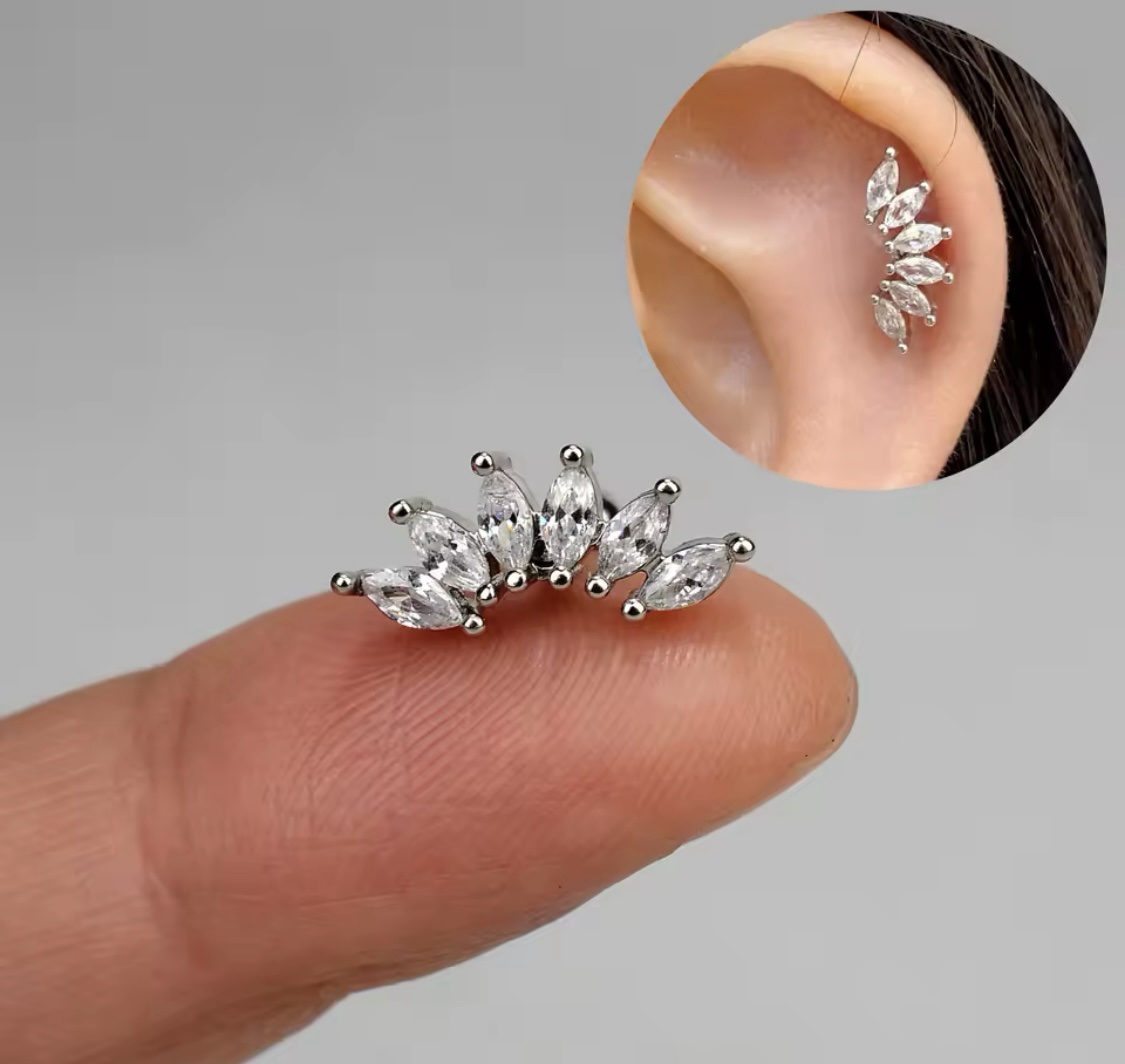 Stainless Steel Cartilage Earrings